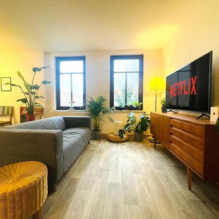 P6 - Familienwohnung Am Park Und Saale Галль Экстерьер фото