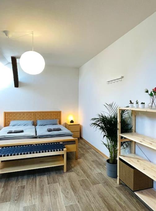 P6 - Familienwohnung Am Park Und Saale Галль Экстерьер фото