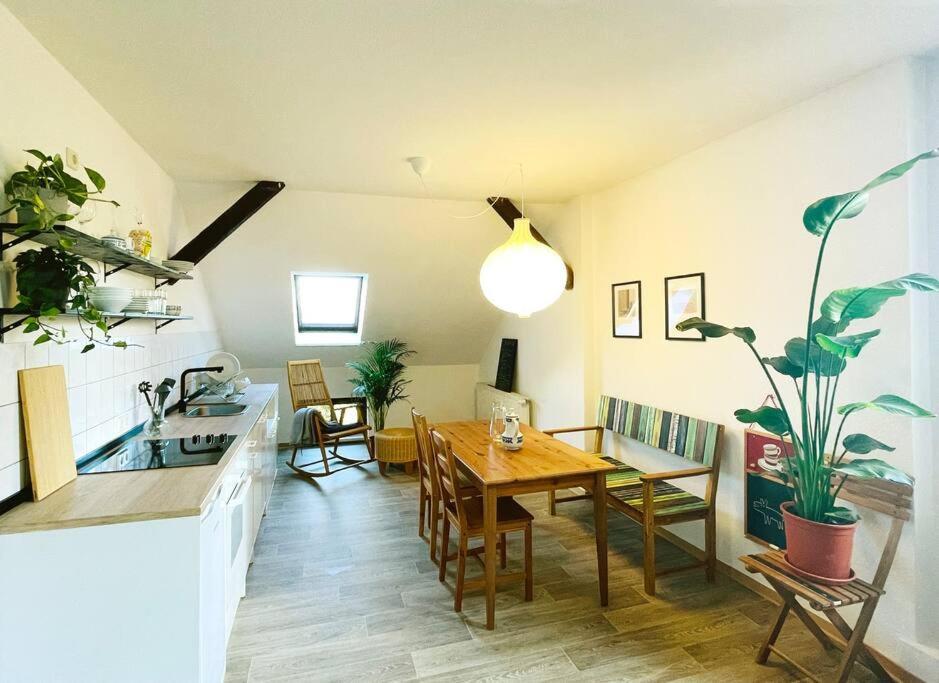P6 - Familienwohnung Am Park Und Saale Галль Экстерьер фото