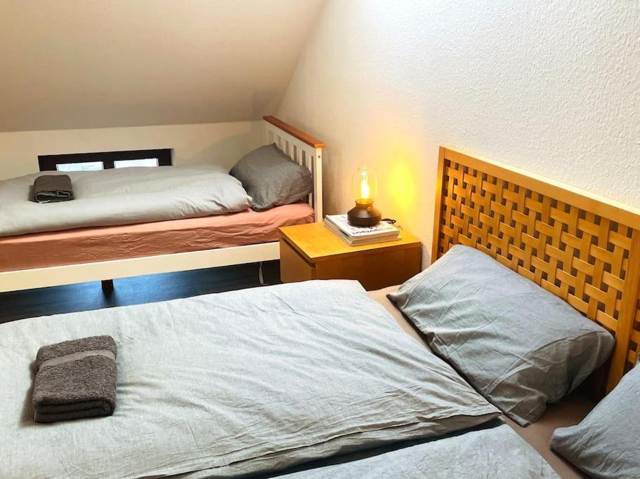 P6 - Familienwohnung Am Park Und Saale Галль Экстерьер фото