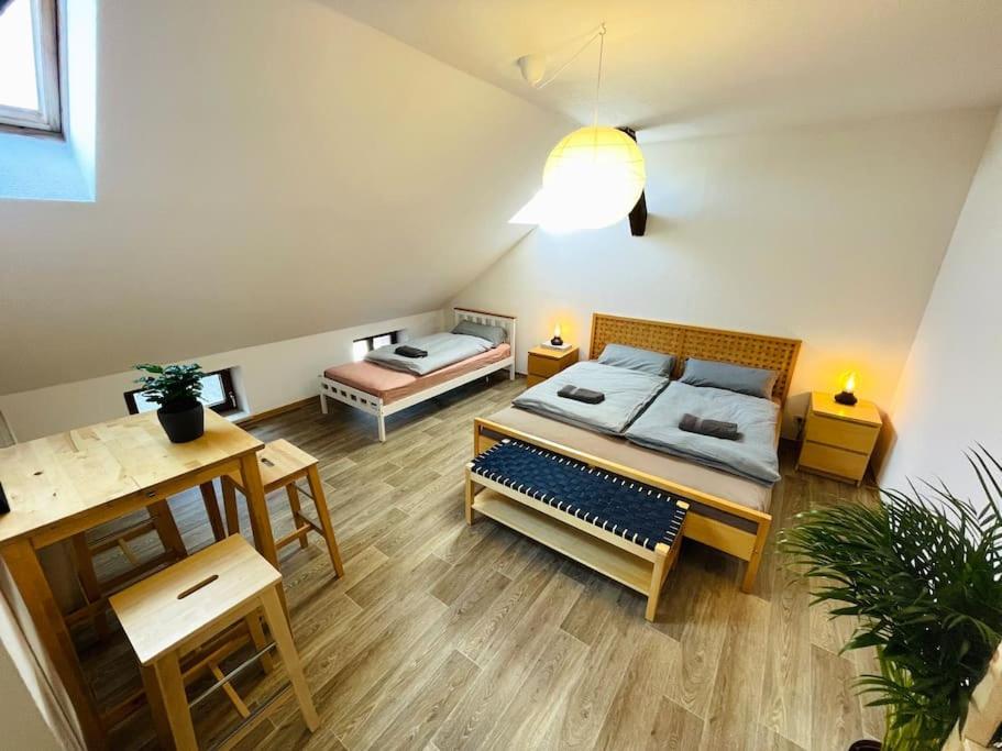 P6 - Familienwohnung Am Park Und Saale Галль Экстерьер фото
