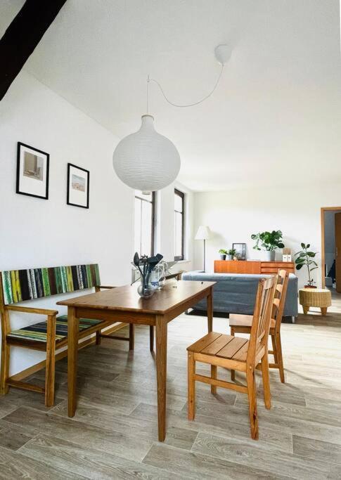 P6 - Familienwohnung Am Park Und Saale Галль Экстерьер фото