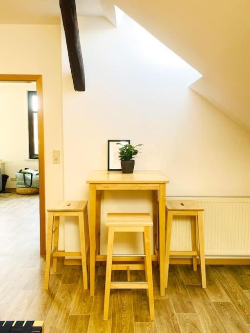 P6 - Familienwohnung Am Park Und Saale Галль Экстерьер фото