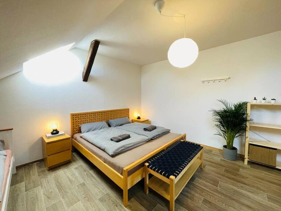 P6 - Familienwohnung Am Park Und Saale Галль Экстерьер фото