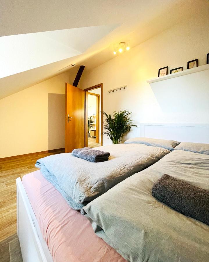 P6 - Familienwohnung Am Park Und Saale Галль Экстерьер фото